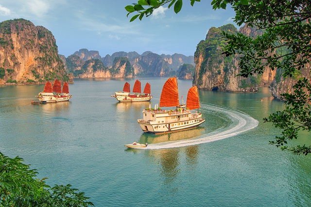 Aerial picturesque scenery with luxury cruises (sail boat) in Ha Long bay, Quang Ninh, Vietnam (HaLong)