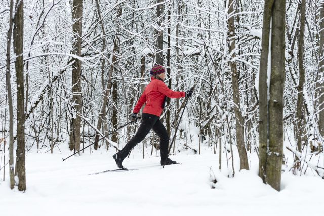 cross country ski