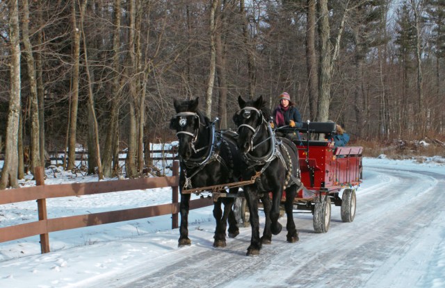 north central mass