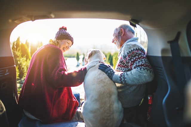 how to get rid of smells in car