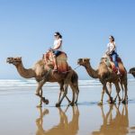 guided travel