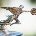 car hood ornament