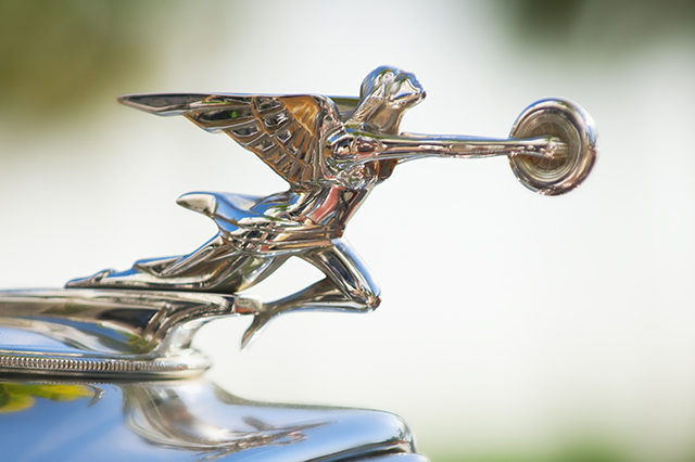 car hood ornament