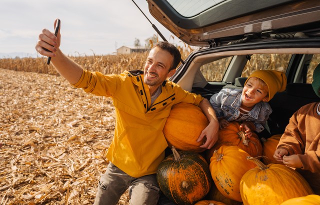 fall activities - pumpkins