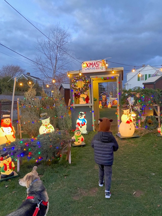 holiday light display 