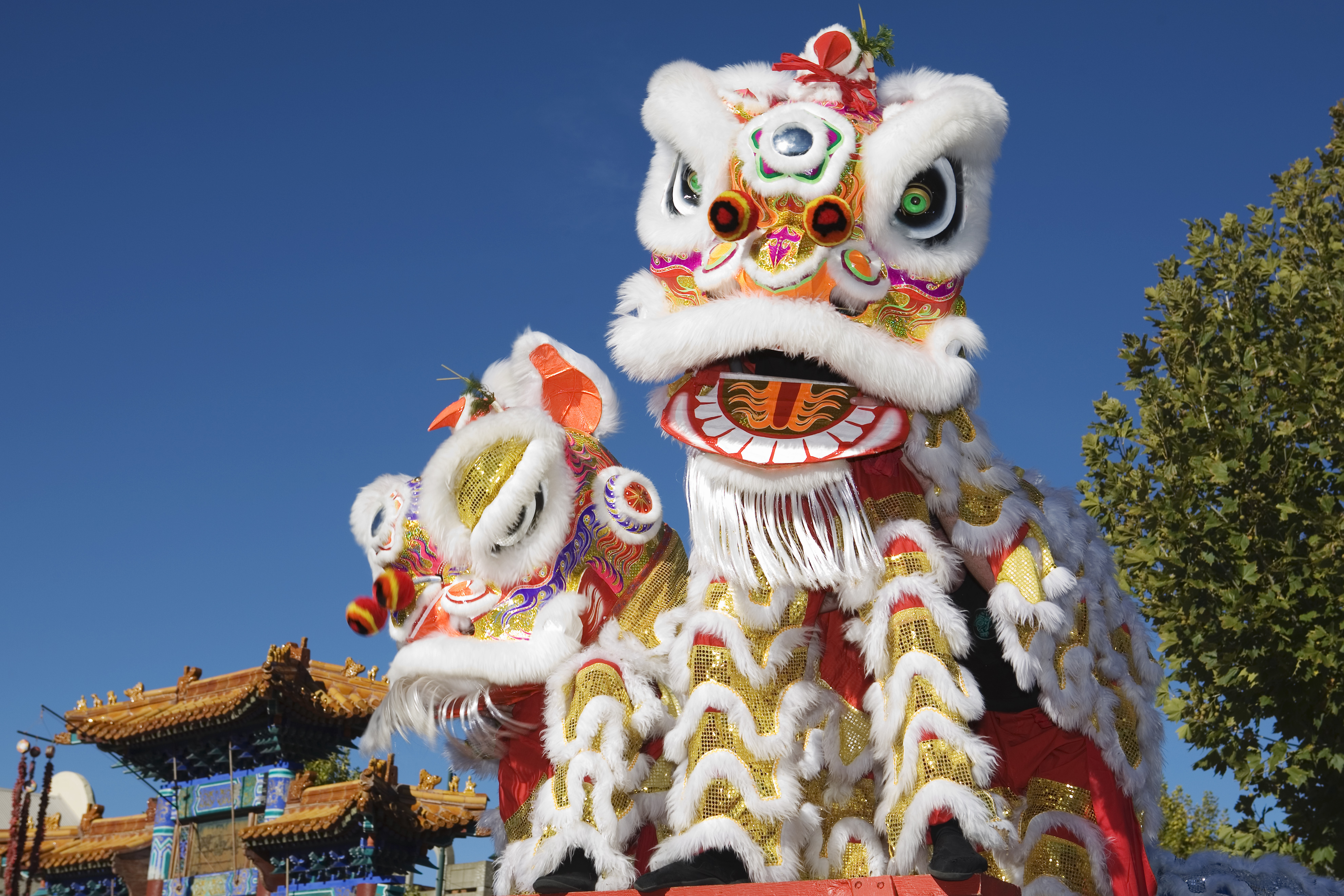 lunar new year restaurants
