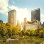 things to do in nyc for a day - central park
