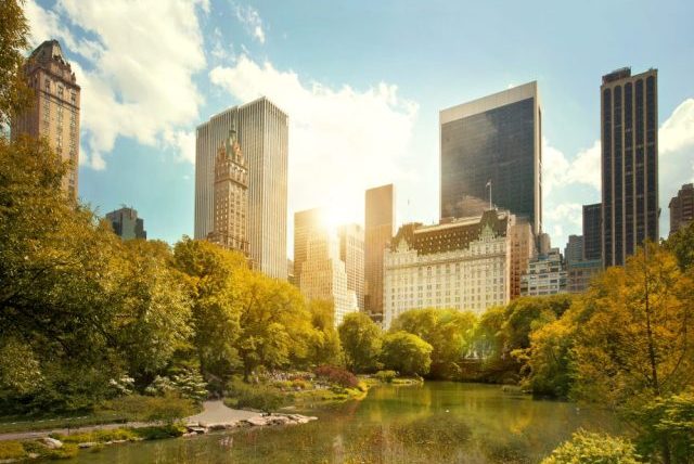 things to do in nyc for a day - central park