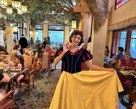 disney world character dining