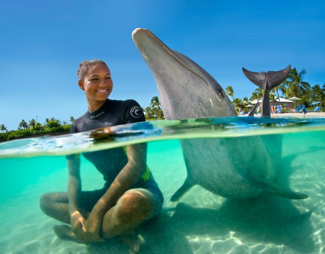 atlantis paradise lagoon