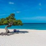 aruba vacation