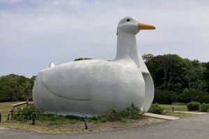 Long Island's Big Duck