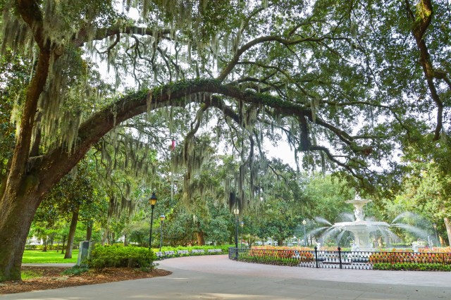 Destination dupe Savannah