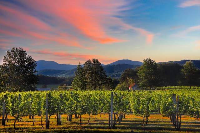 Destination dupes--Virginia