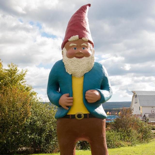 kelder's farm sunflower festival gnome