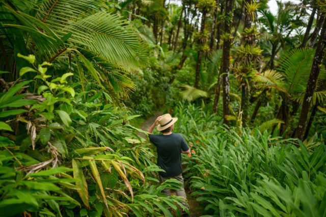 caribbean hikes