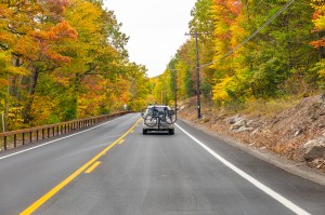 fall road trip