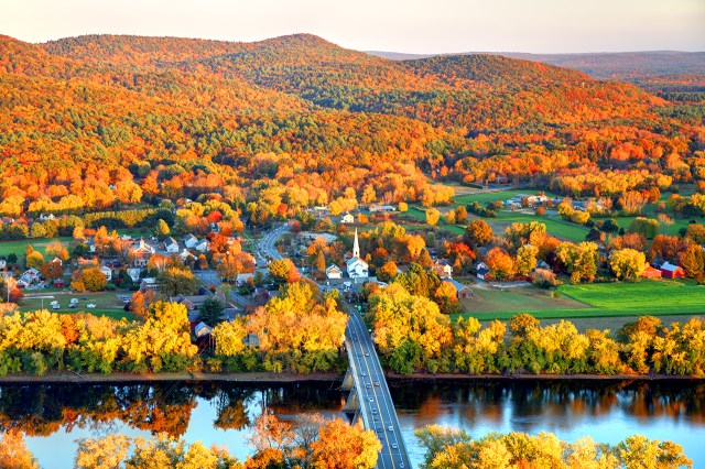 foliage in pioneer valley