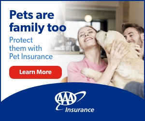 Pet Insurance sidebar advertisement