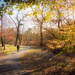 fall in westchester
