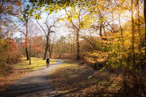 fall in westchester