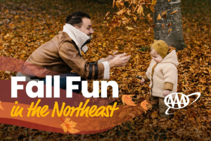 Fall Fun Guide featured image post