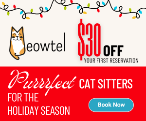 Meowtel Sidebar Ad Dec 24