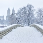 central park