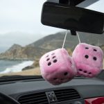 fuzzy dice