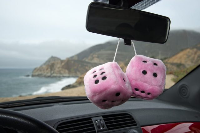 fuzzy dice
