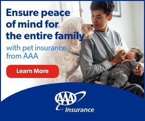 Pet Insurance Sidebar Advertisement