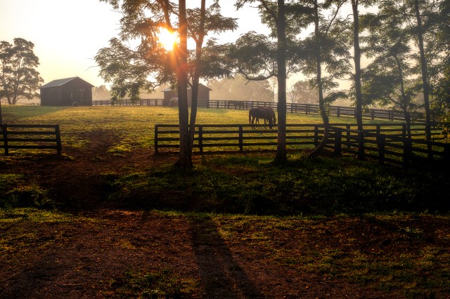 kentucky horse country