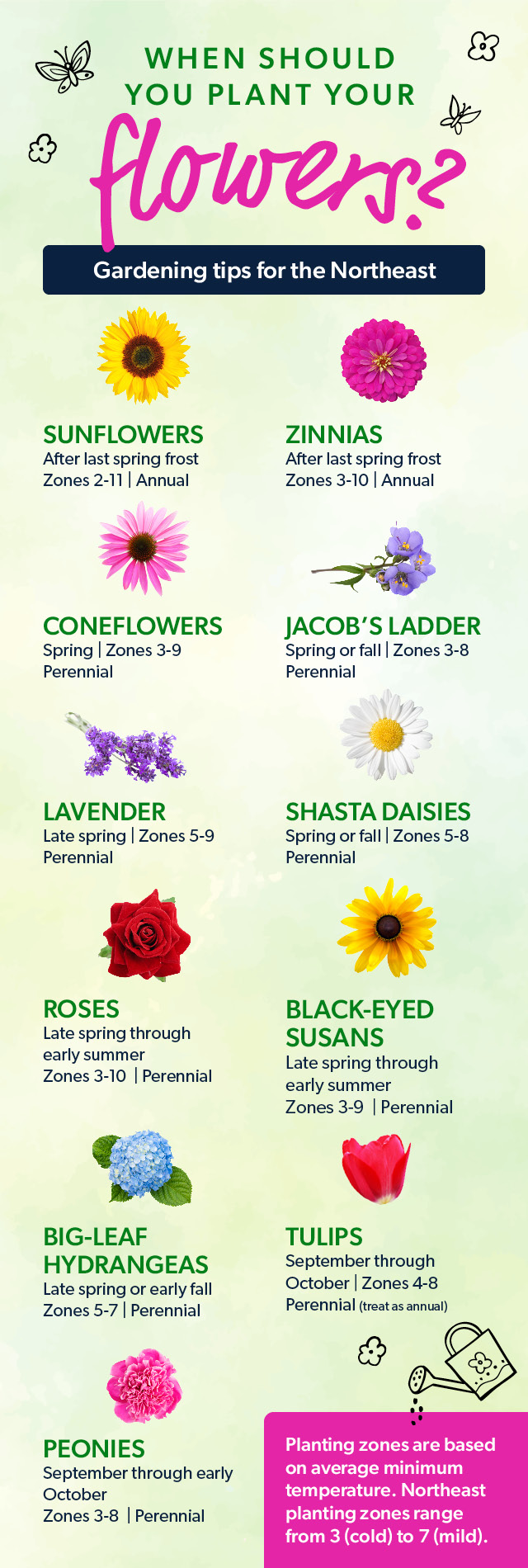 flower chart