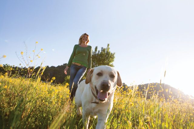 benefits of being outdoors