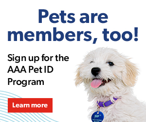 Pet Tag Sidebar Advertisement ROS 25