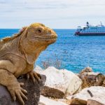hx expeditions