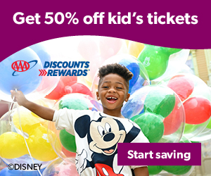 D&R Disney Sidebar Advertisement May 25
