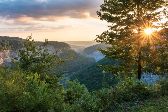 Sunrise At Letchworth State Park In New York