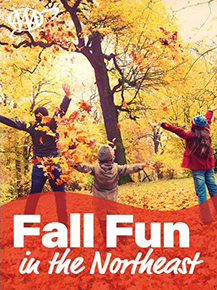 fall guide text ad