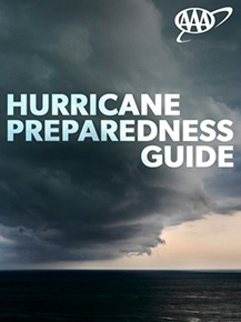 hurricane guide text ad